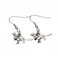 Boucles d oreilles dinosaure photoroom